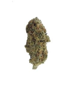 buy sfv og online