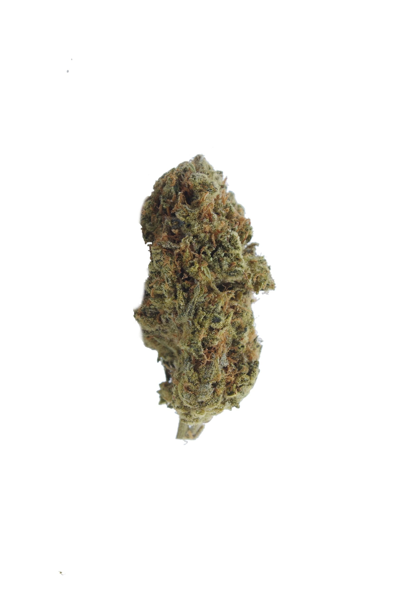 sfv og bud scaled SFV OG Oz Special