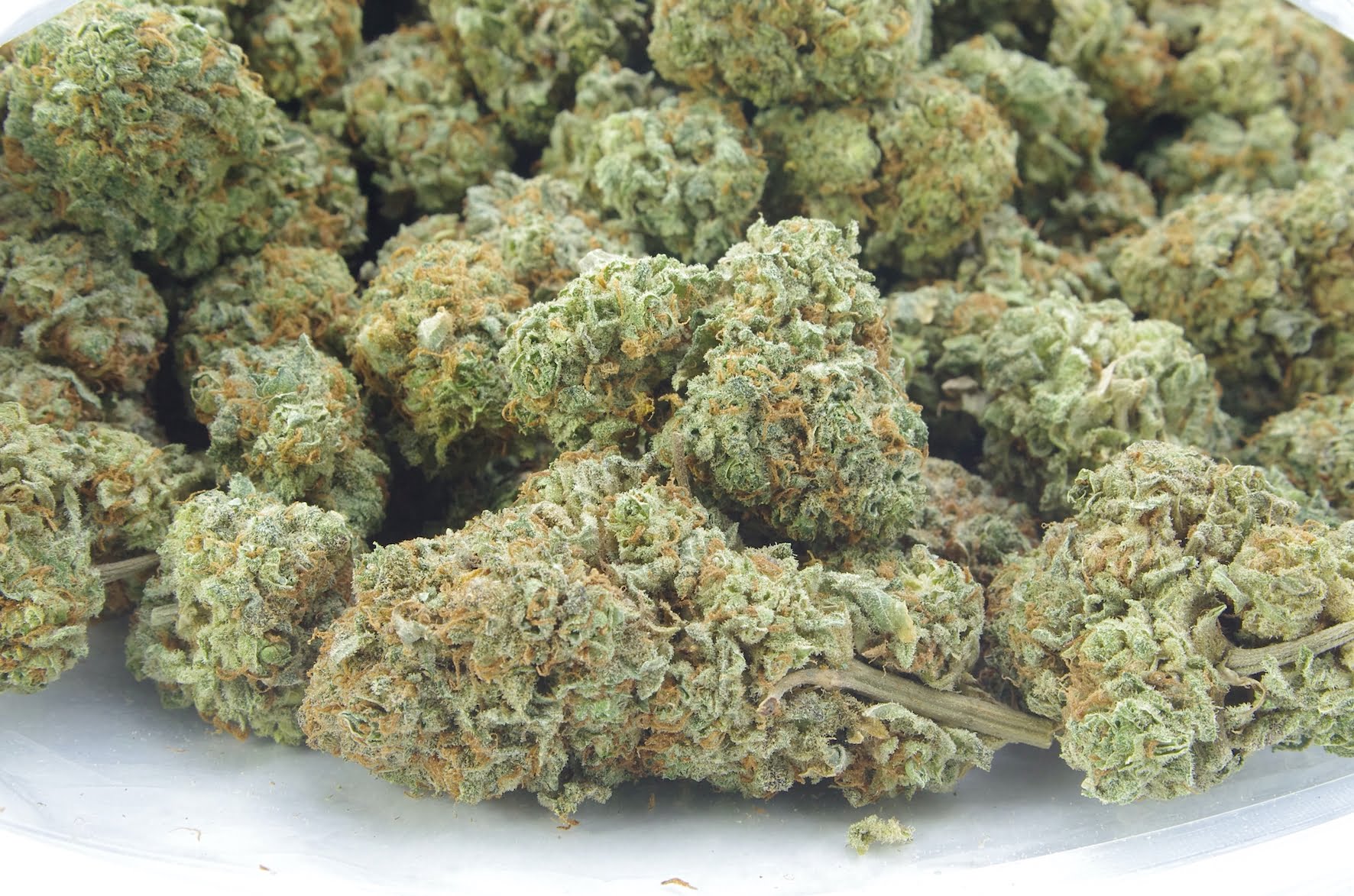 super pink bag Super Pink Oz Special