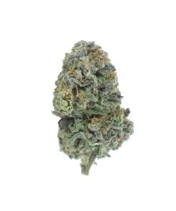 buy super pink online