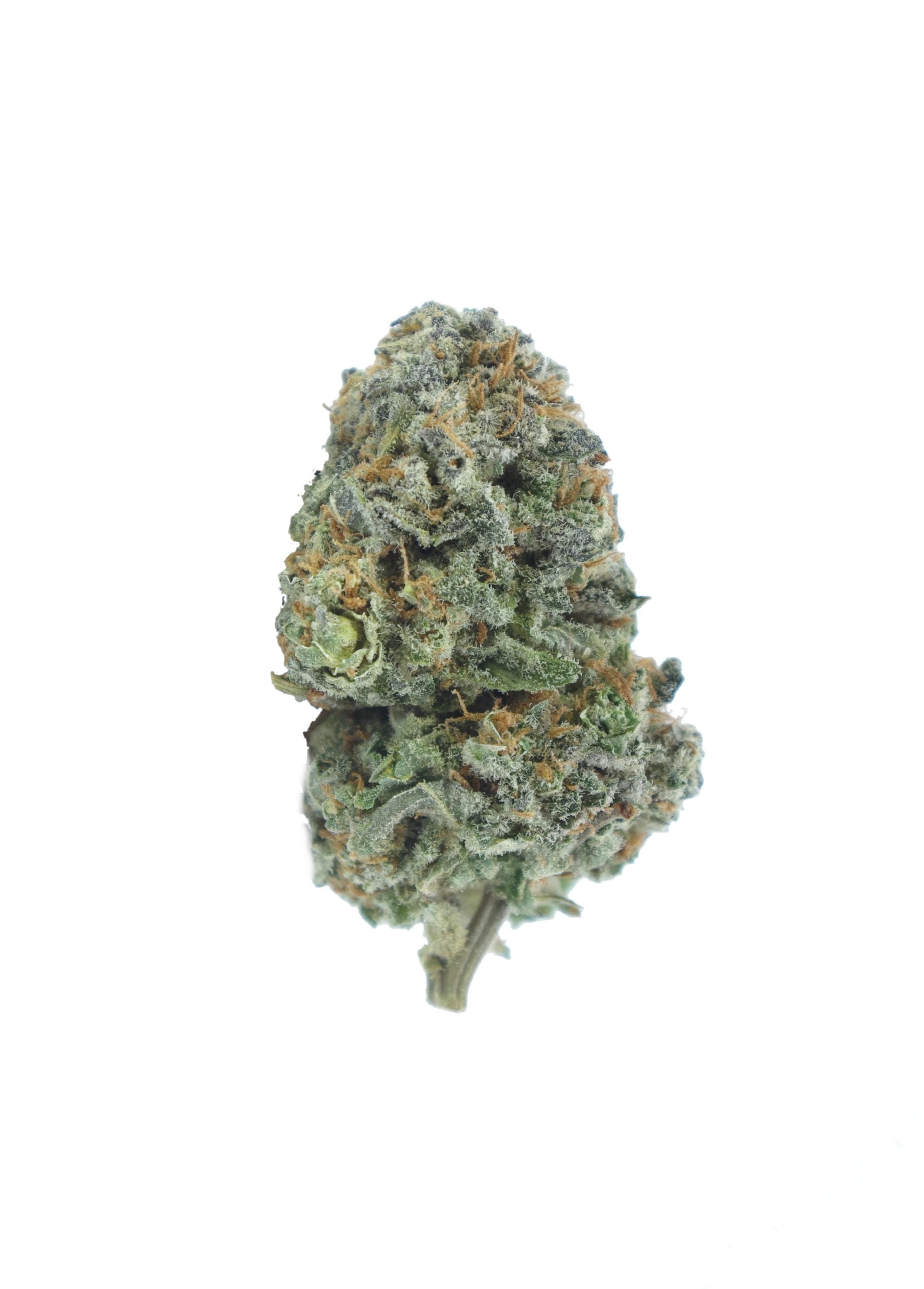 super pink bud scaled Super Pink Oz Special