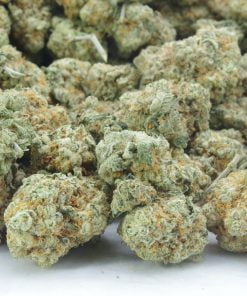 wifi og bag 2