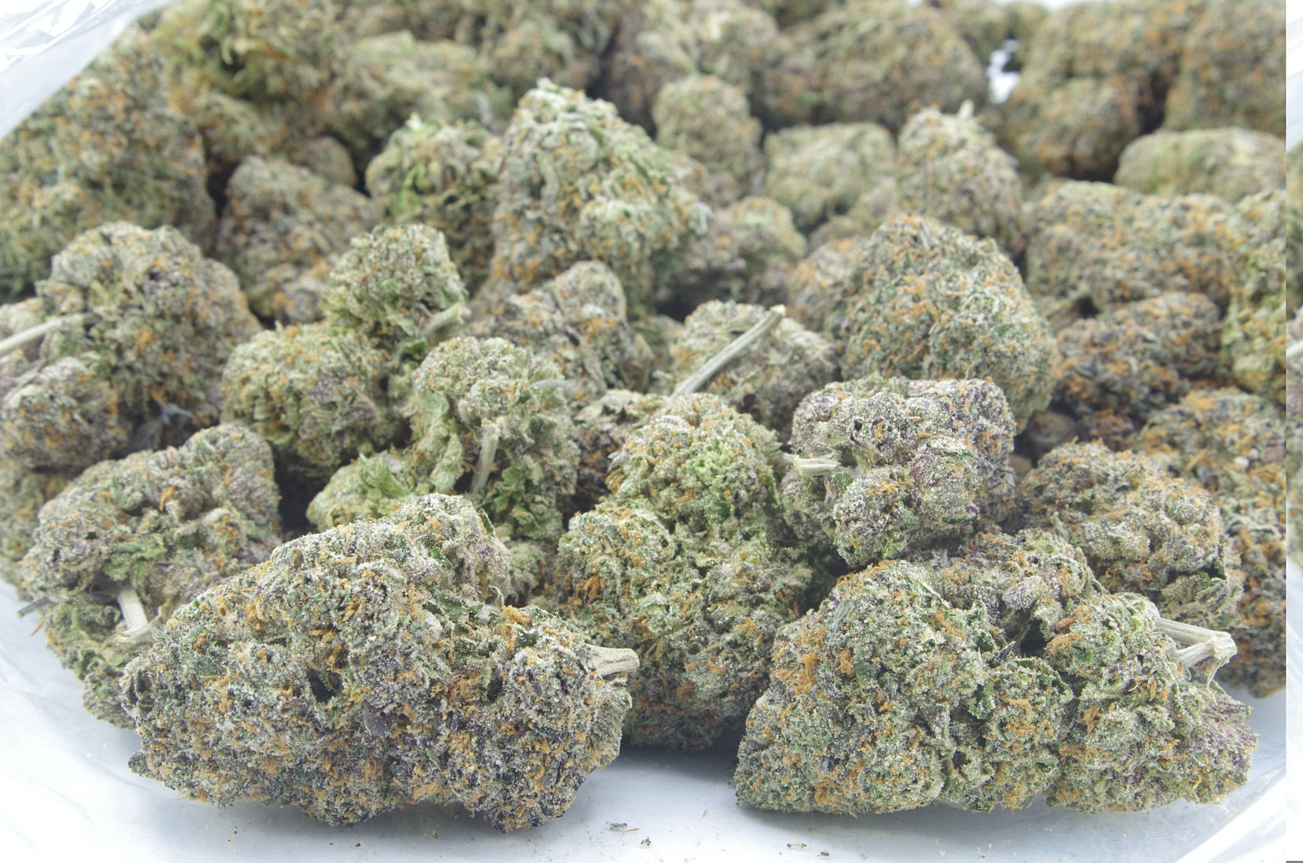 Berry Gelato bag scaled Berry Gelato Oz Special