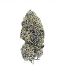 buy berry gelato online