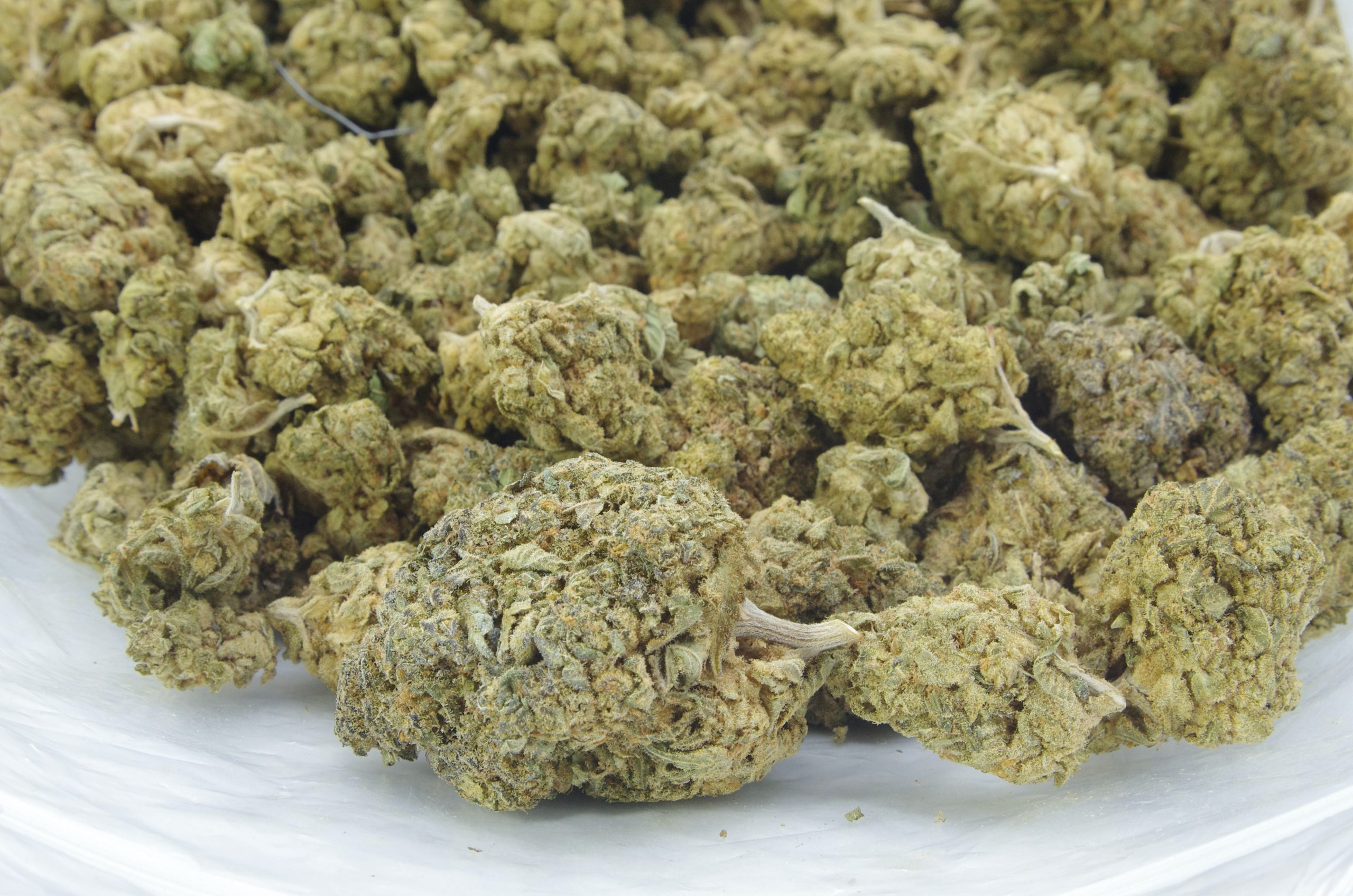 Durban Cookies bag scaled Durban Cookies Oz Special