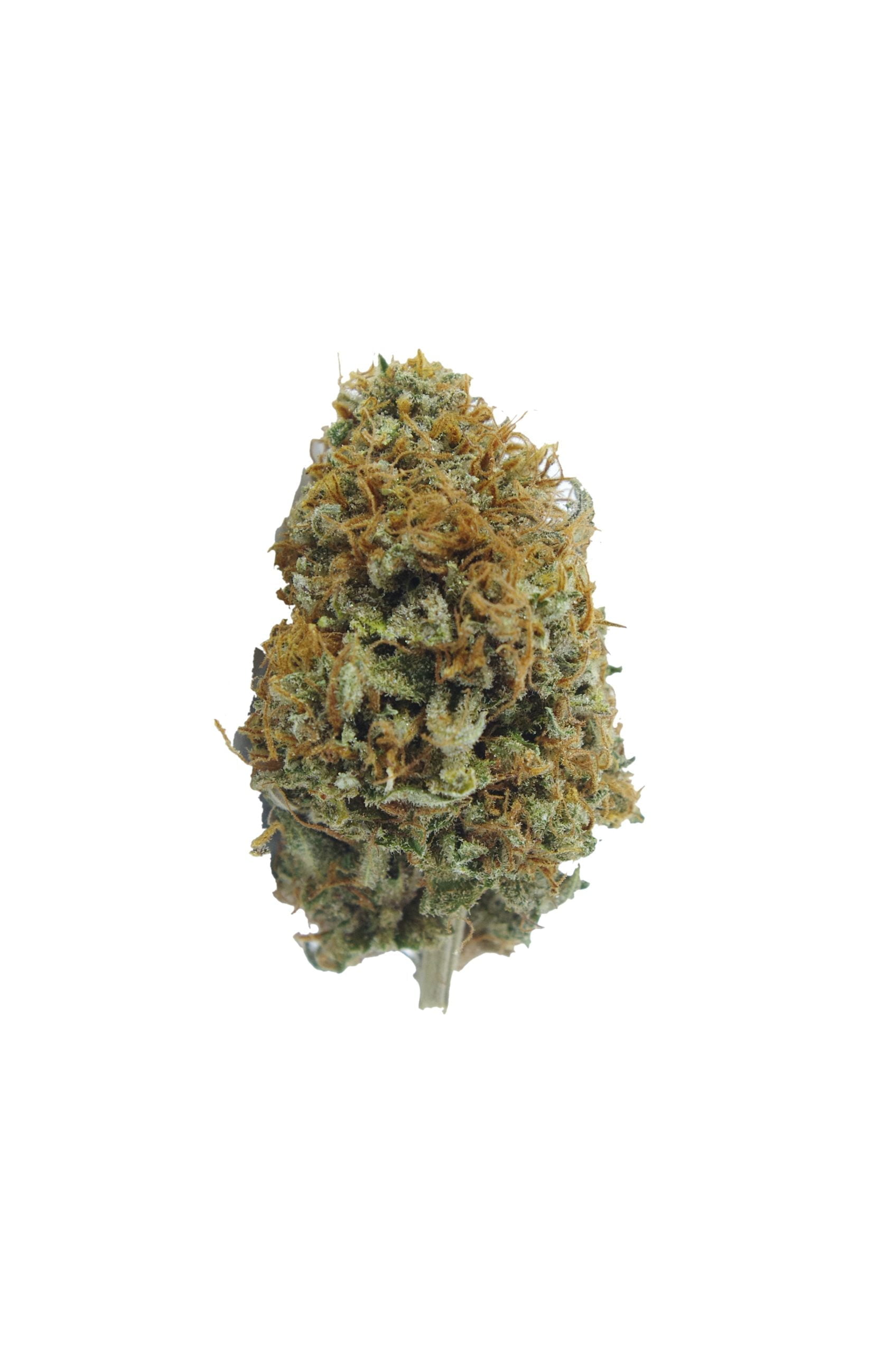 Girl Scout Wookie bud scaled Girl Scout Wookies (LSO)