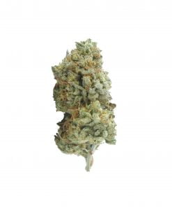 buy layer cake online
