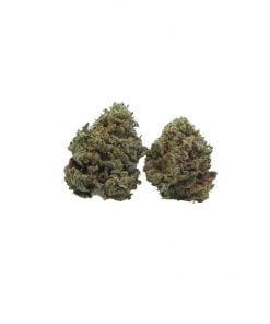 buy pink dawg online