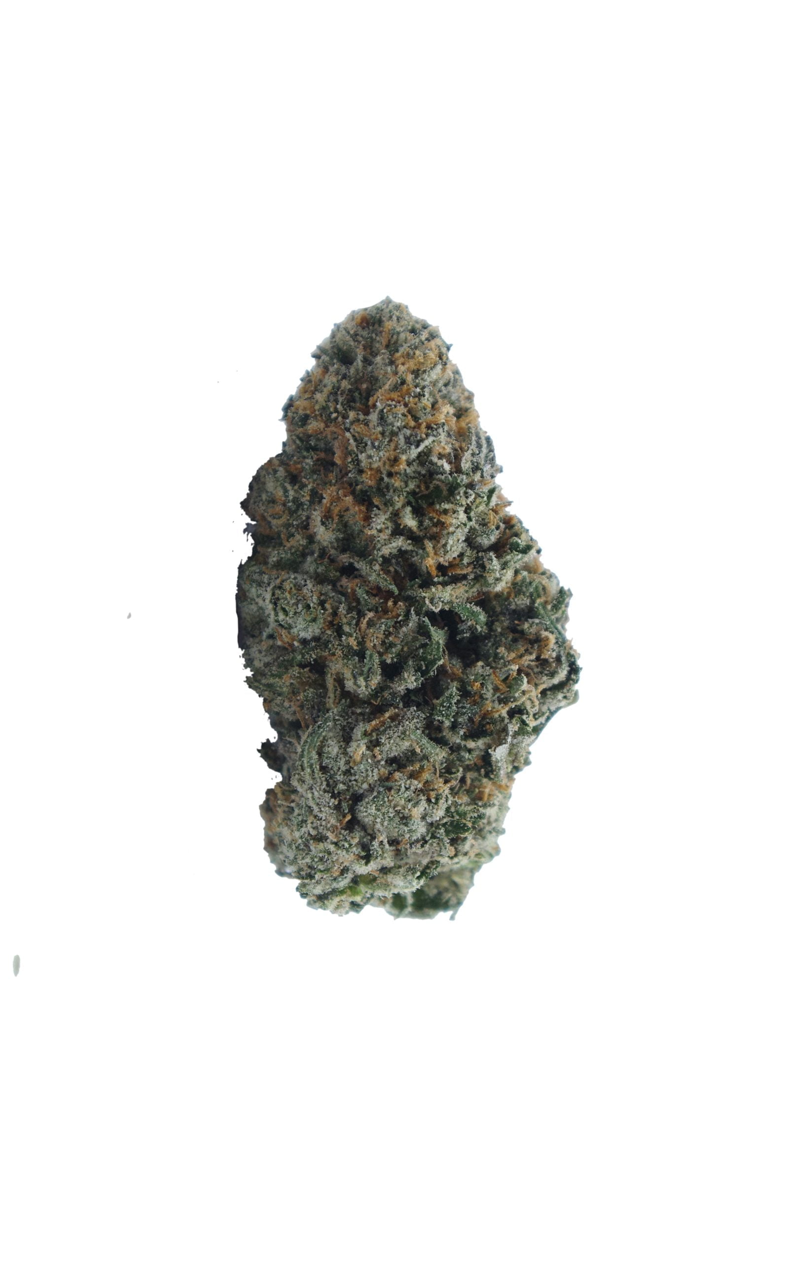 Space Candy bud scaled Space Candy (Oz Special)