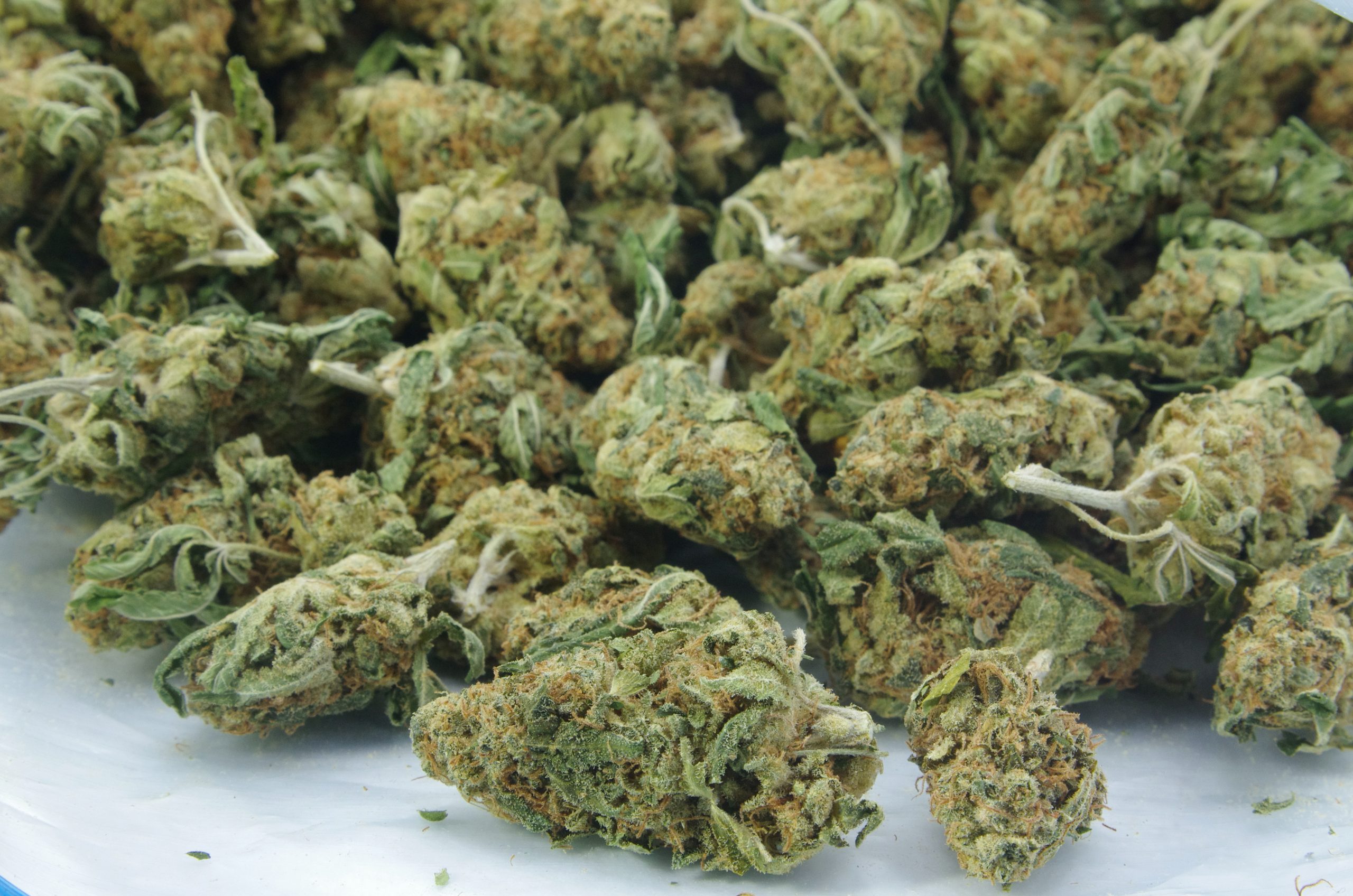 White Zkittles bag scaled White Zkittlez Oz Special