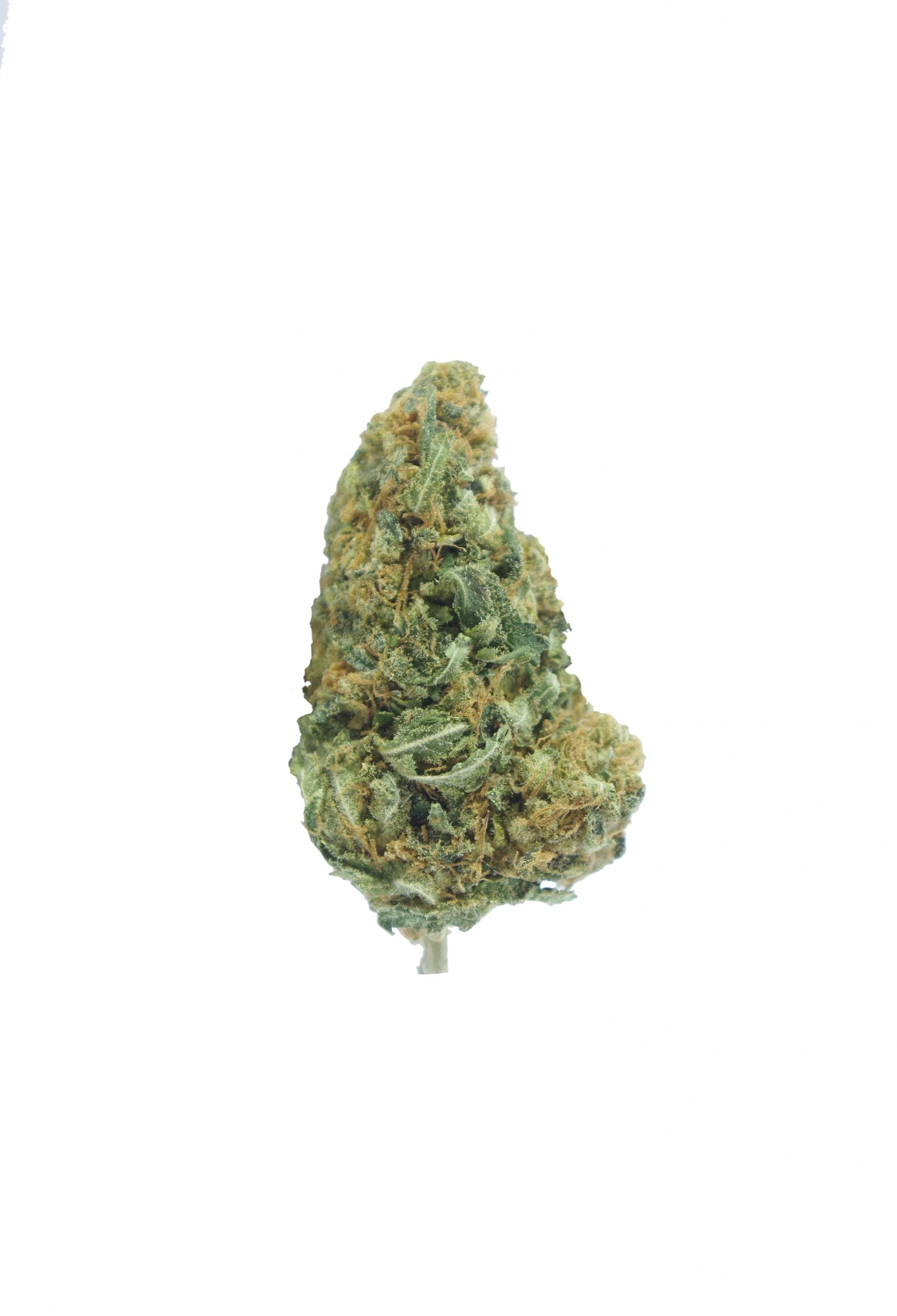 White zkittles bud scaled White Zkittlez Oz Special