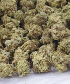 chamoagne smalls bag chamoagne smalls bag