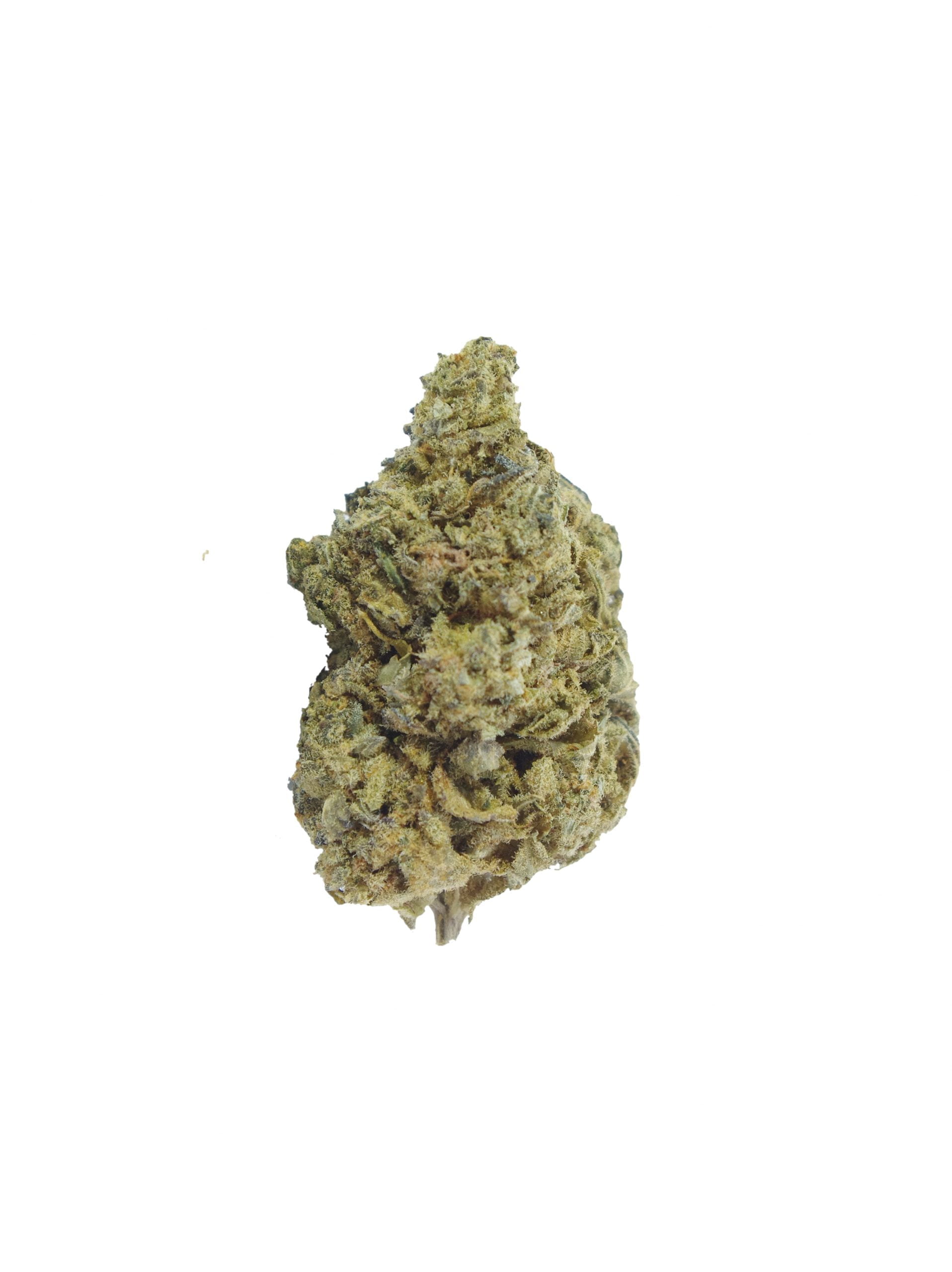 durban cookies bud scaled Durban Cookies Oz Special