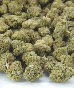 pink dawg mids bag pink dawg mids bag