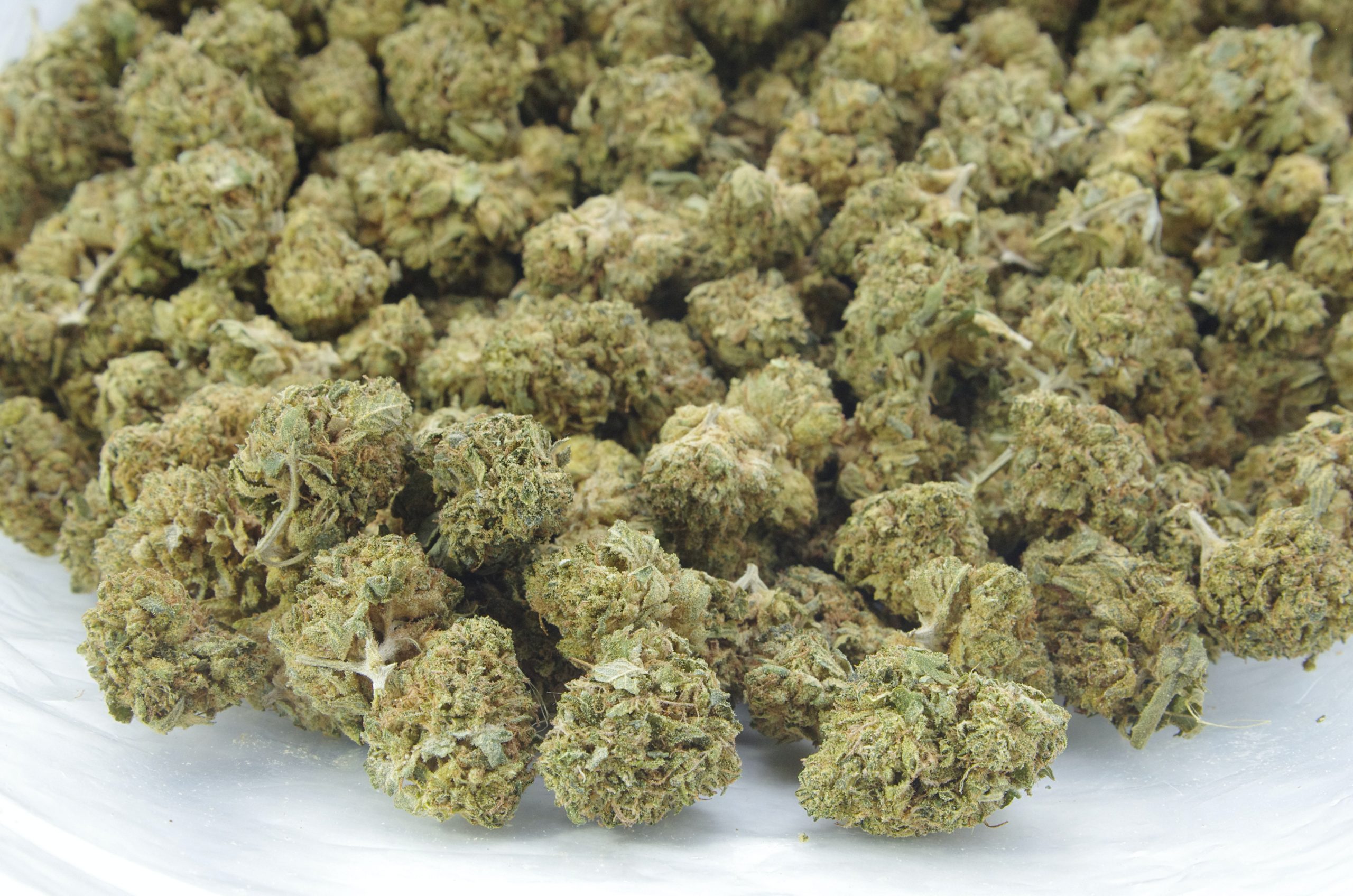 pink dawg mids bag scaled Pink Dawg Mids Oz Special