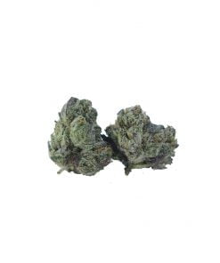 buy pink gas mask online