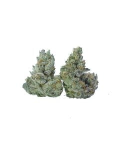 buy black gas smalls online
