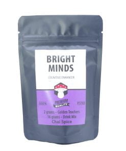 Bright Minds CHai SPice