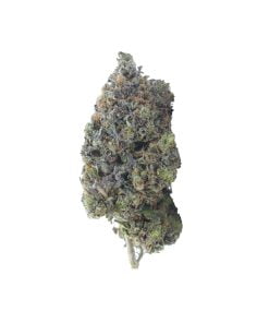 buy FLorida citrus kush online