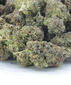 Florida Citrus kush bag