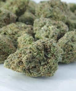 Grapefruit diesel Grapefruit diesel