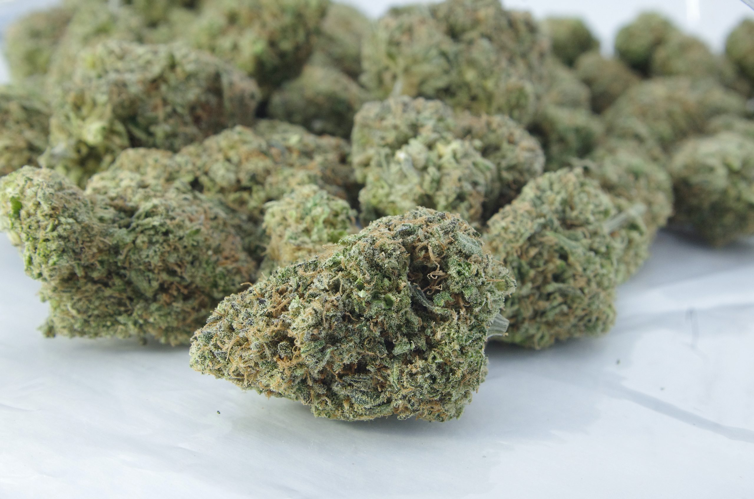 Grapefruit diesel scaled Grapefruit Diesel Oz Special