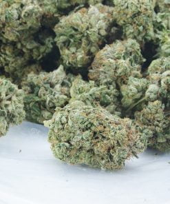 Pink Skunk bag Pink Skunk bag