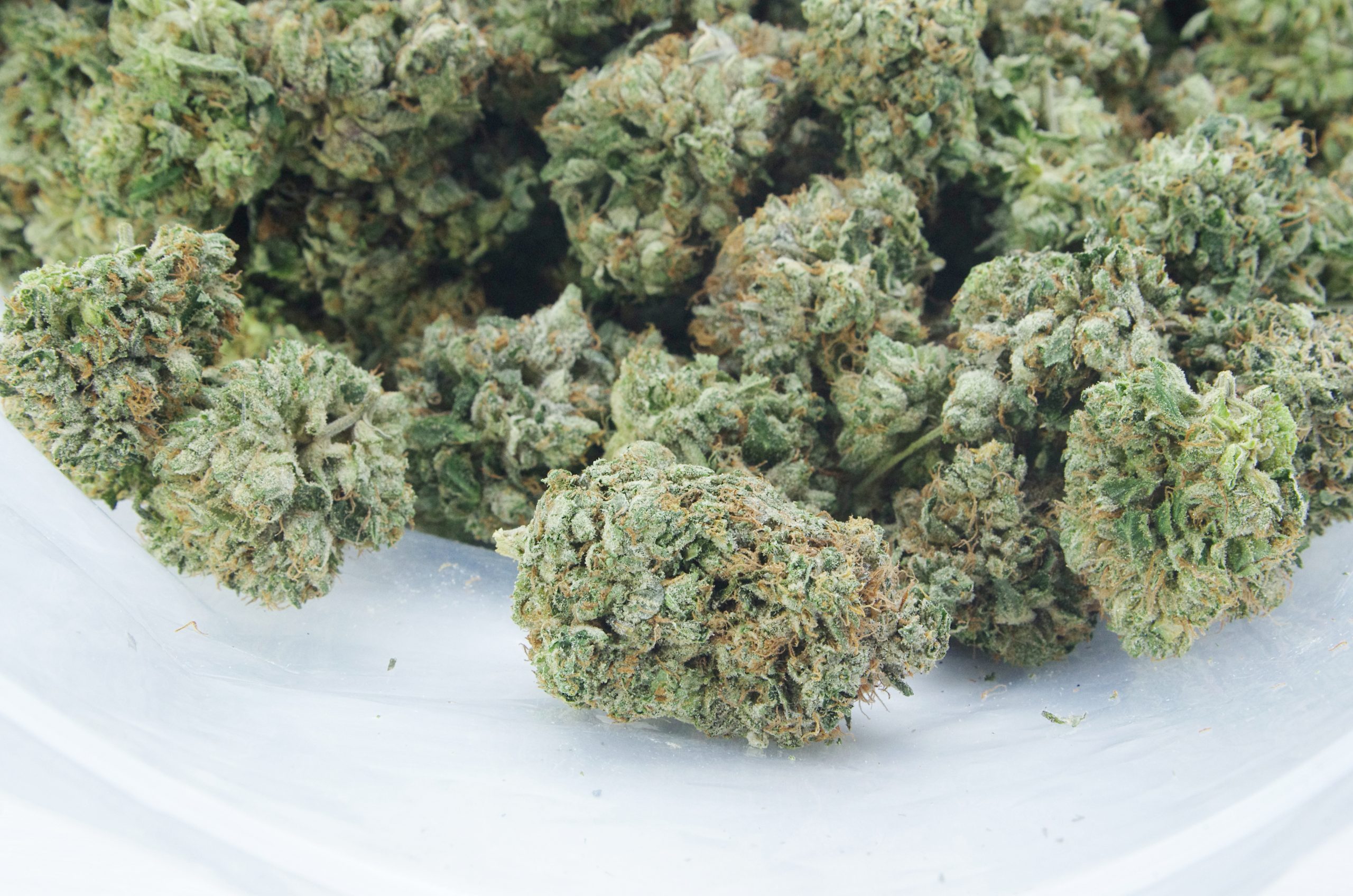 Pink Skunk bag scaled Pink Skunk Oz Special