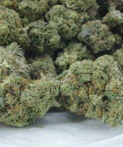 Purple OG bag Purple OG bag