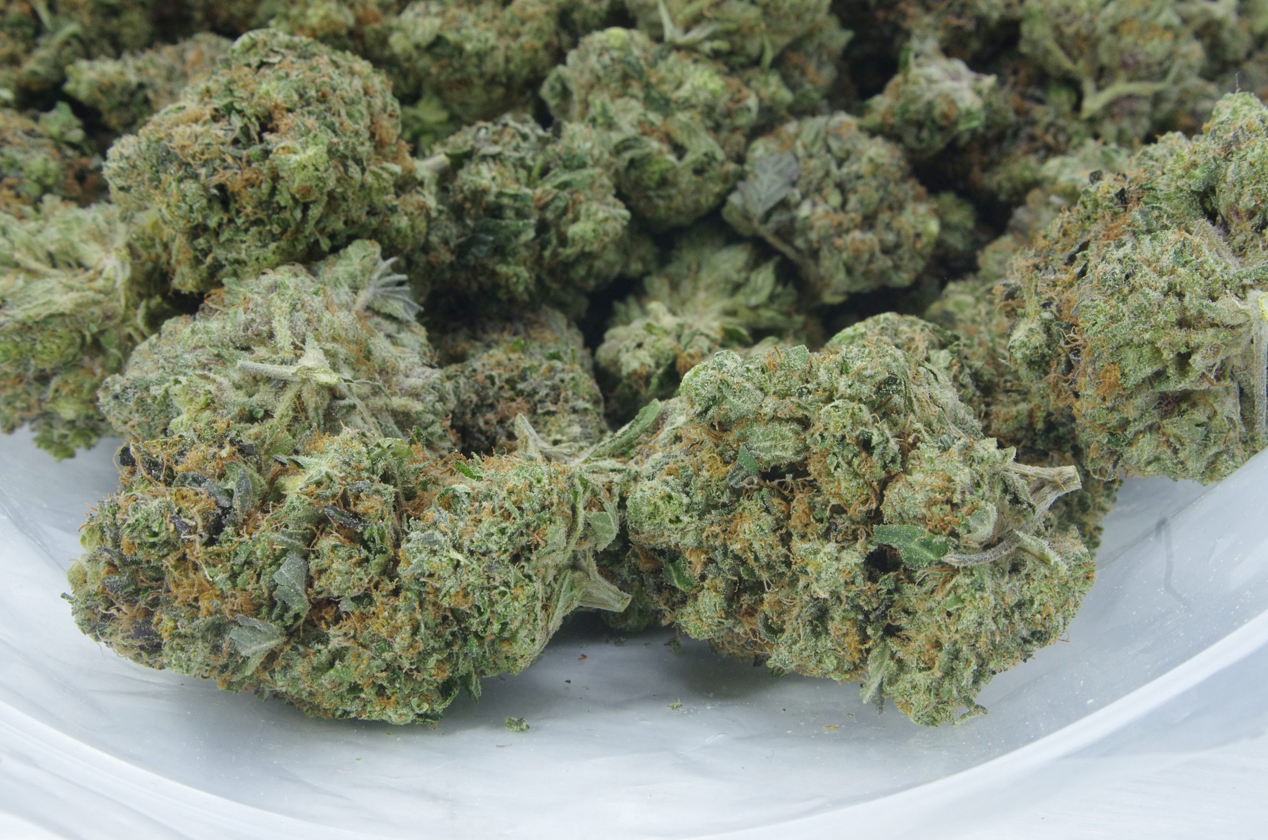 Purple OG bag scaled Purple OG Oz Special