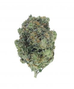buy purple og online