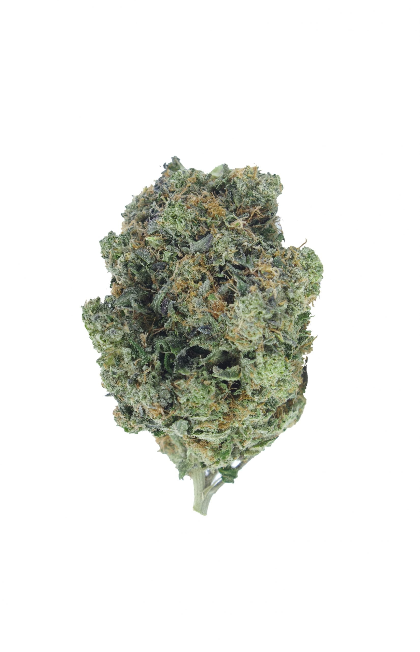 Purple OG bud scaled Purple OG Oz Special