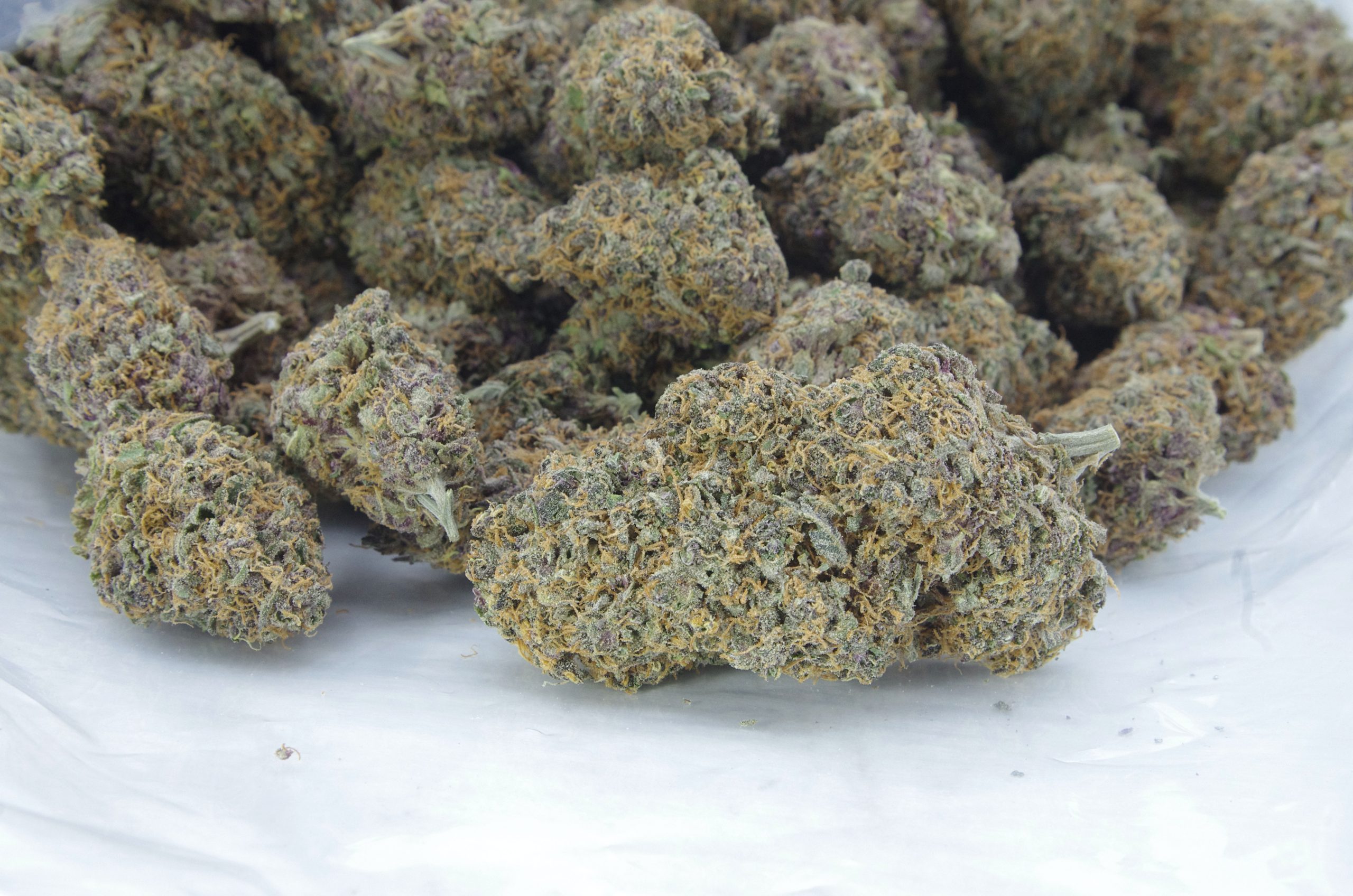 Purple Runtz bag scaled Purple Runtz (Oz Special)