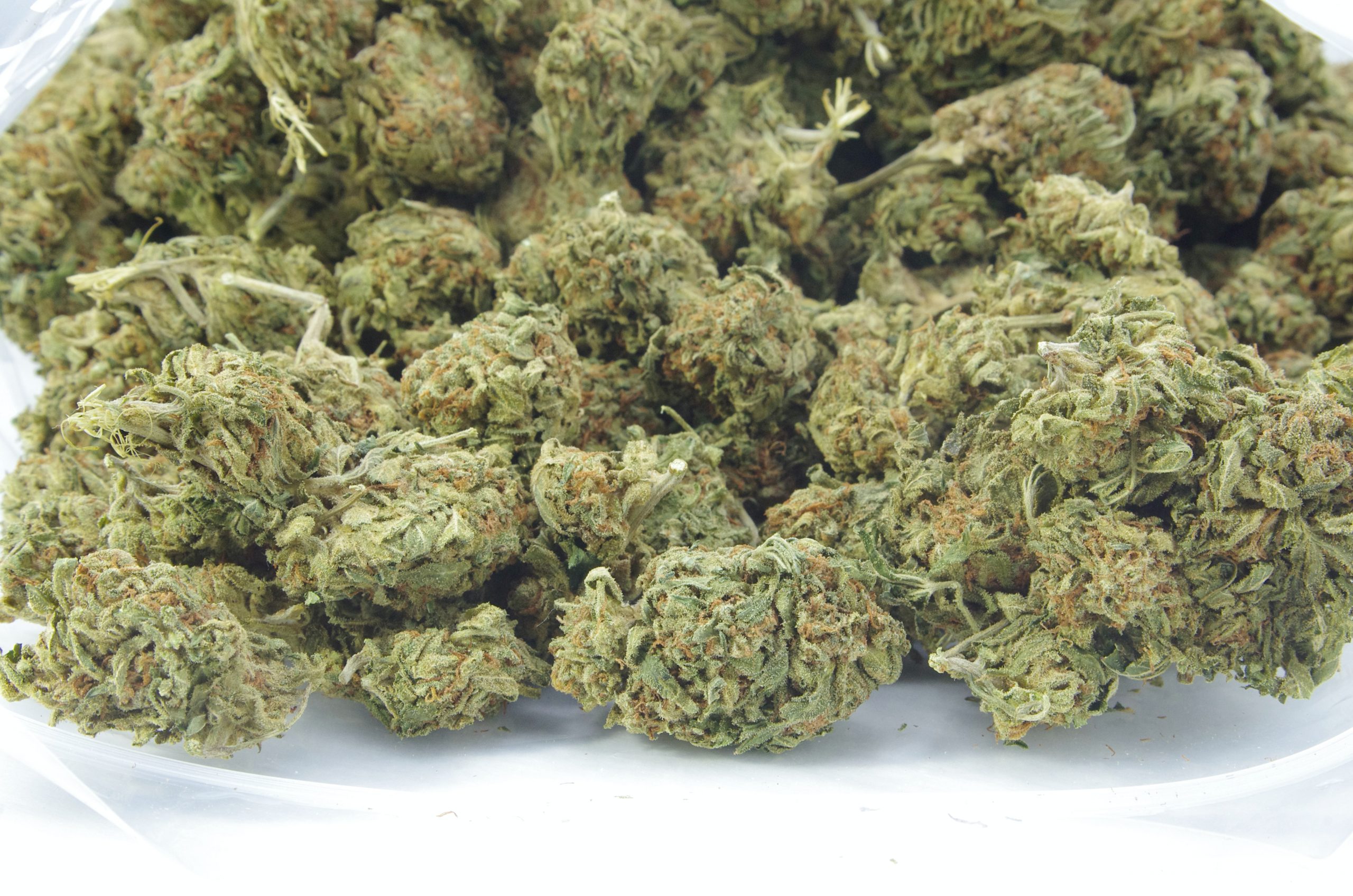 Sour Sherbet Bag scaled Sour Cake Oz Special