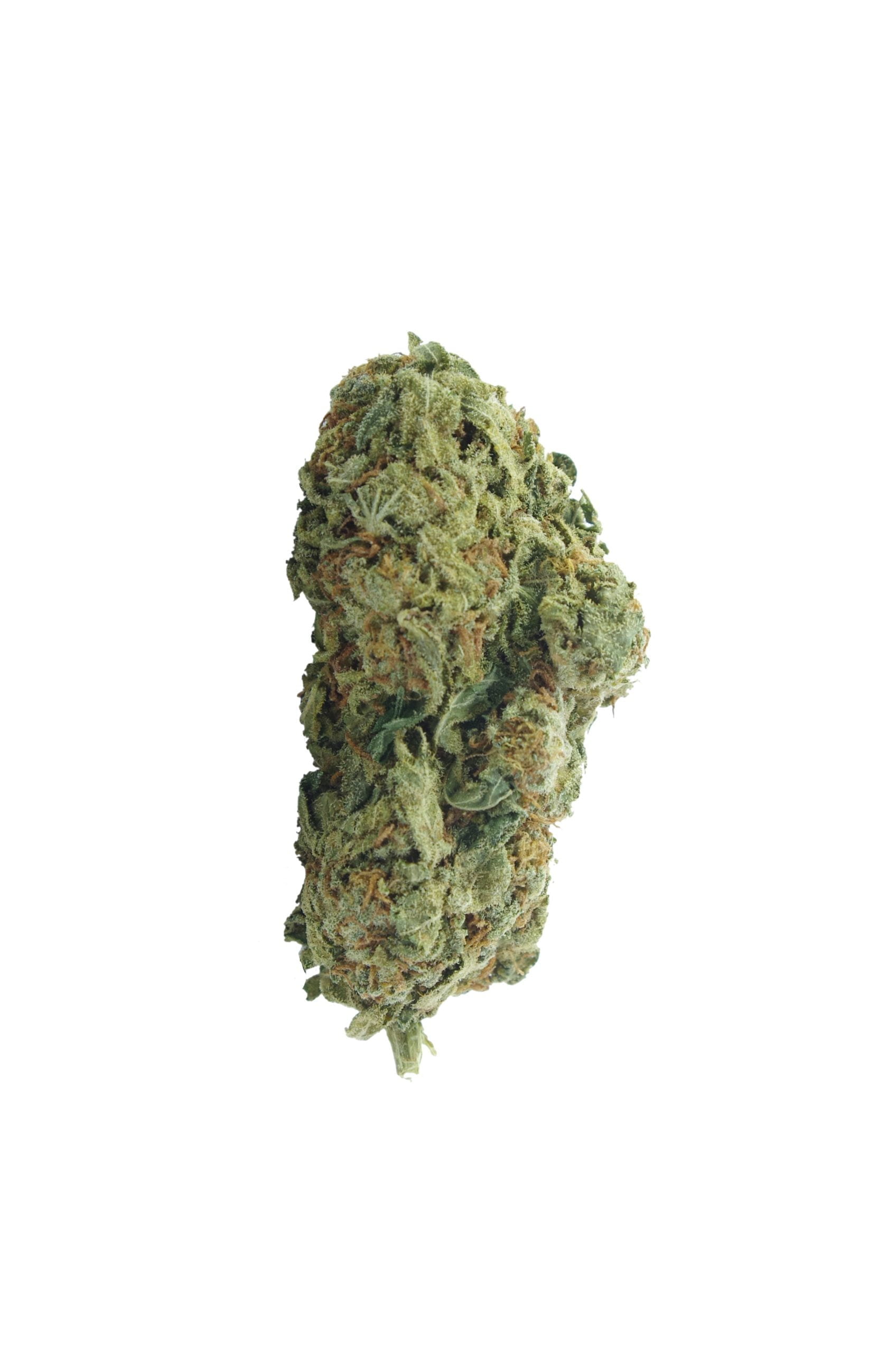 Sour Sherbet bud scaled Sour Cake Oz Special