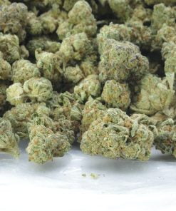 TRi Bag TRi Bag