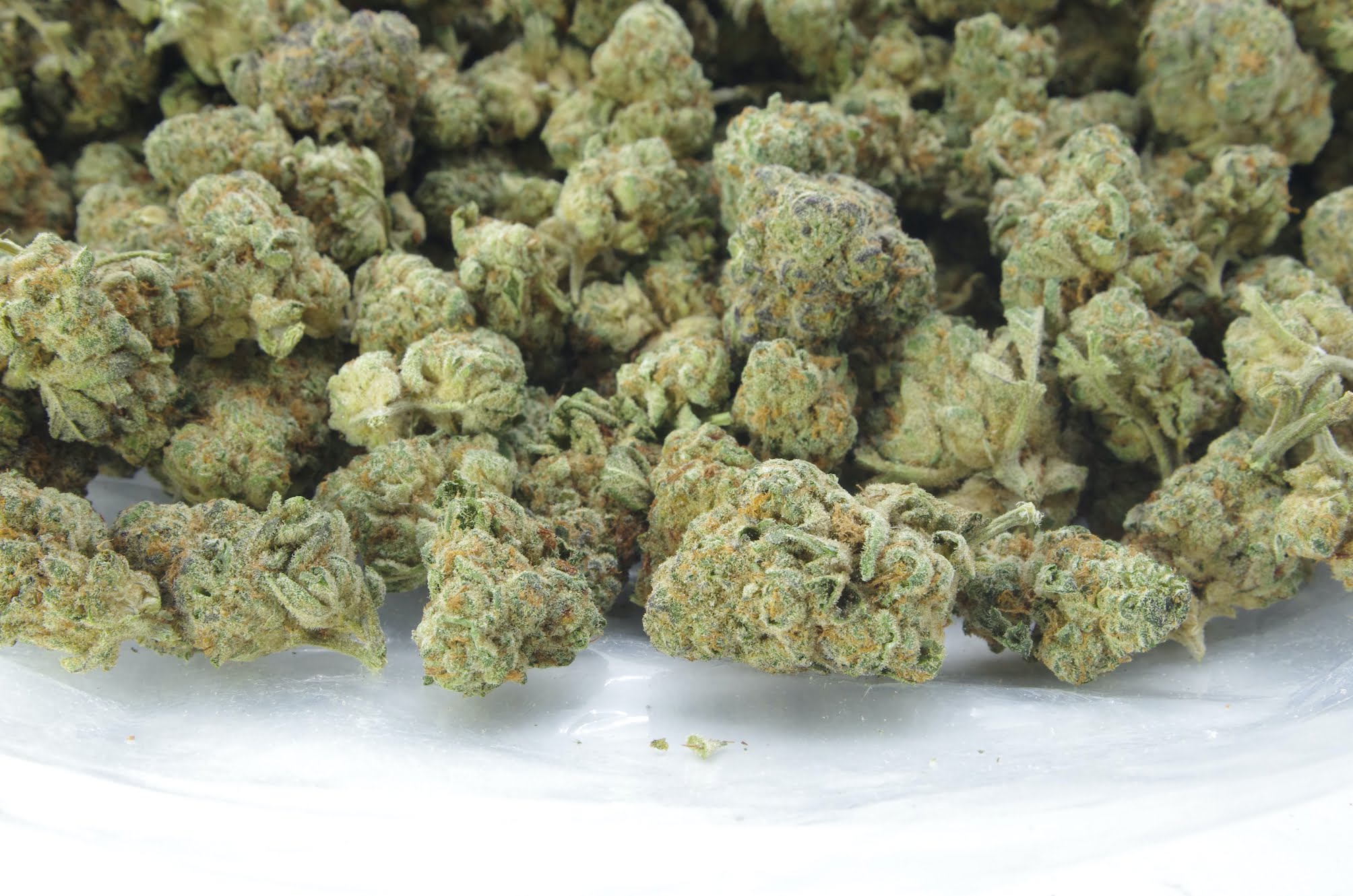 TRi Bag Berry White (Oz Special)