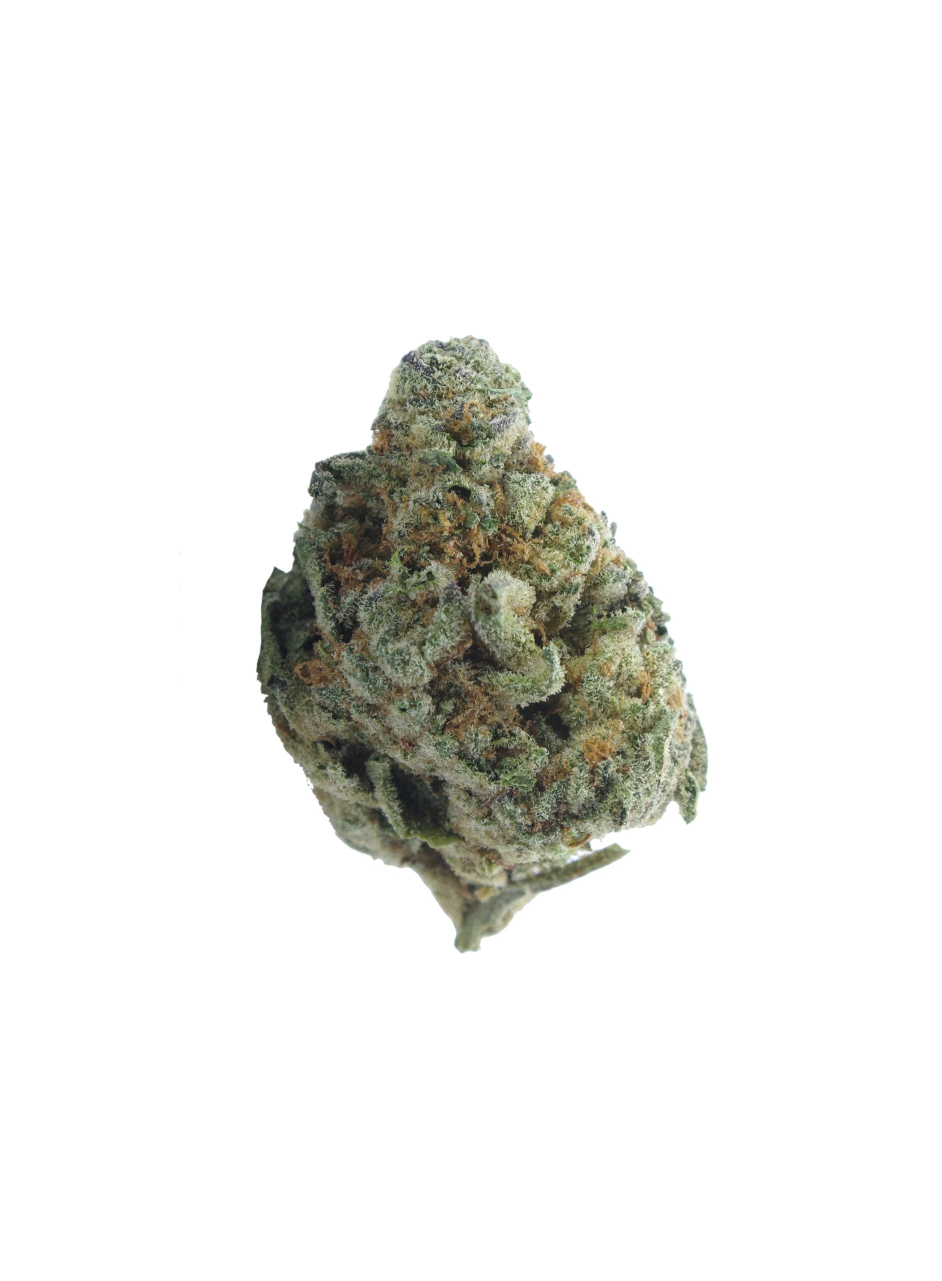 Tri bud scaled Berry White (Oz Special)