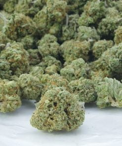 apple zkittes bag apple zkittes bag