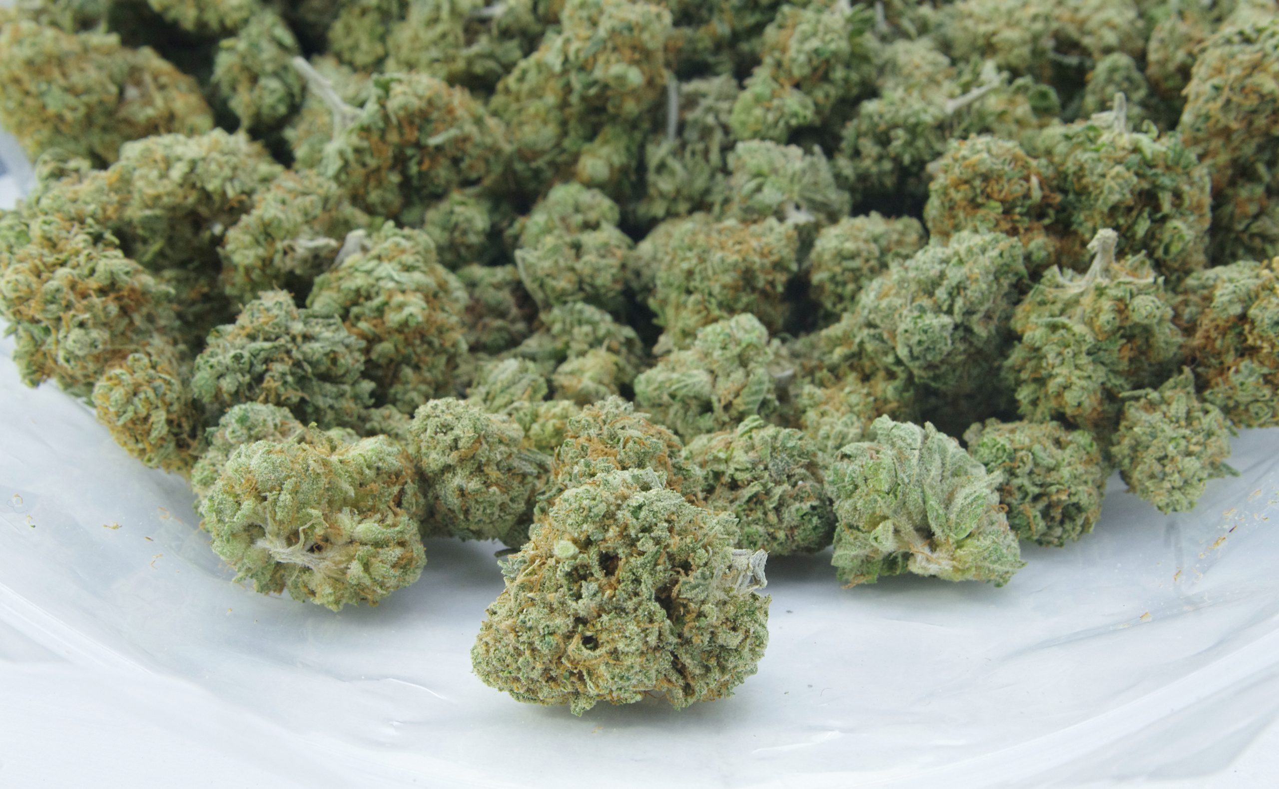 apple zkittes bag scaled Apple Zkittlez Oz Special