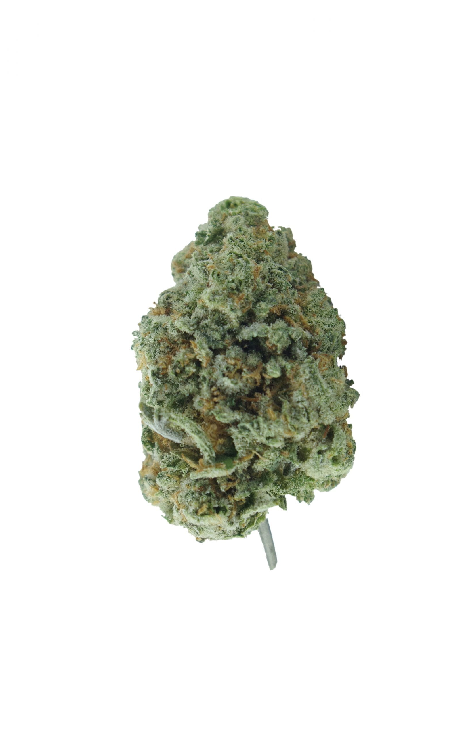 apple zkittlz bud scaled Apple Zkittlez Oz Special