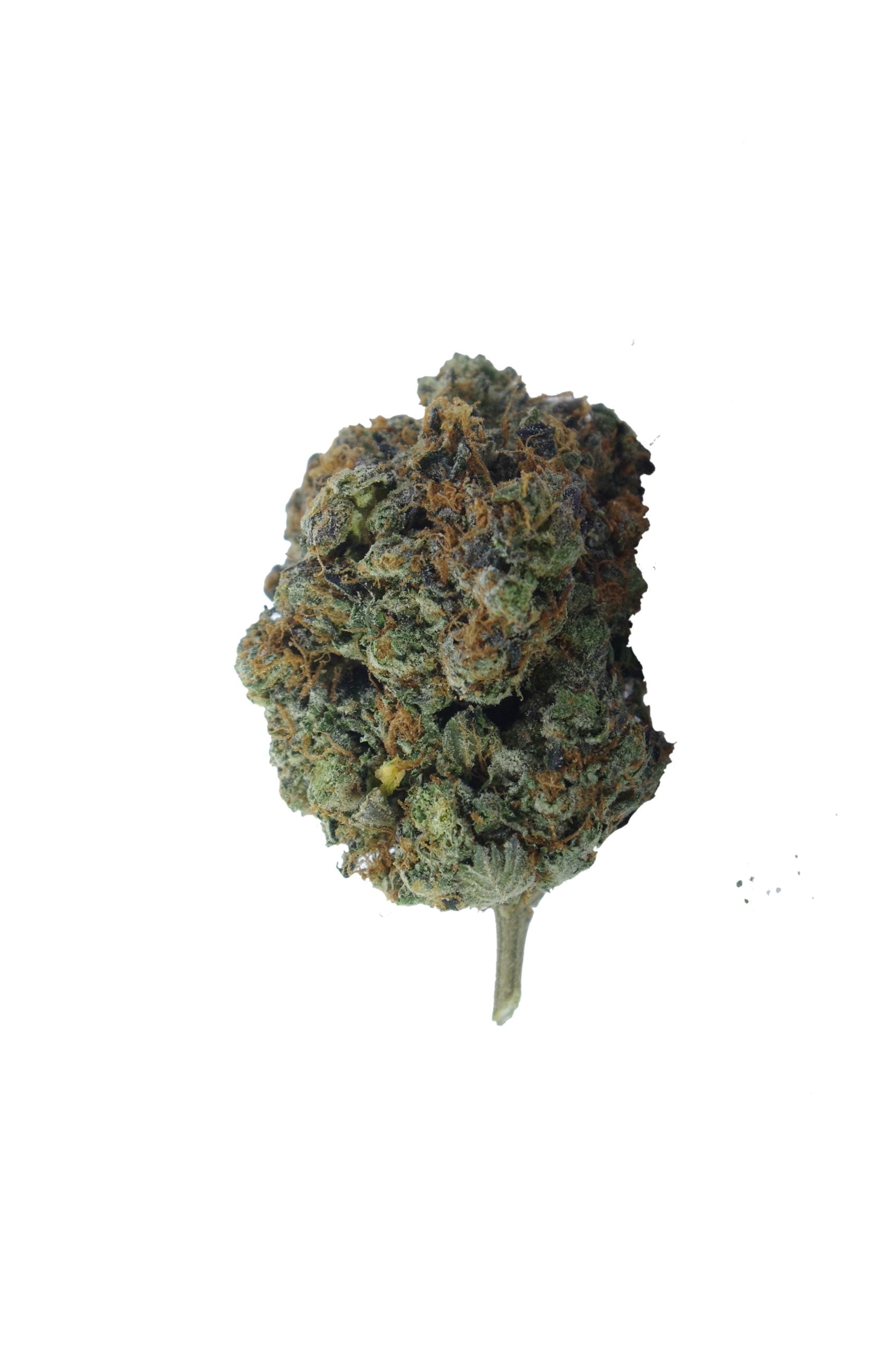 black mask bud scaled Black Gas Mask Oz Special