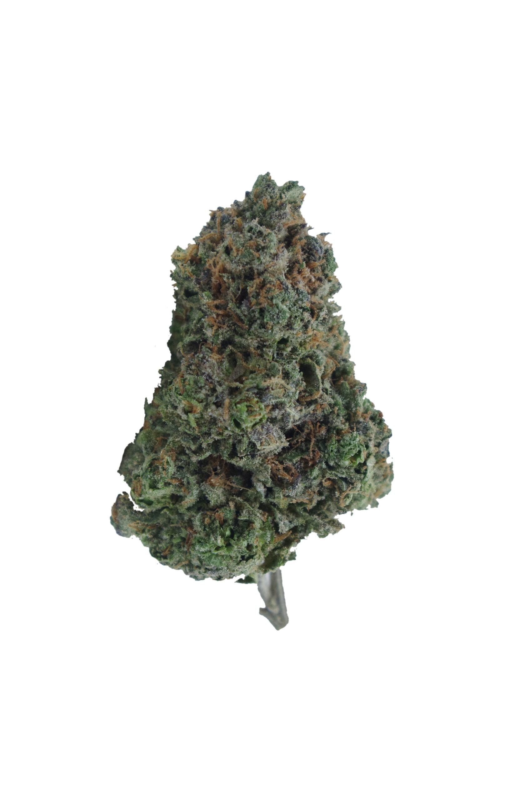 candy cake bud scaled Candy Cake Oz Special
