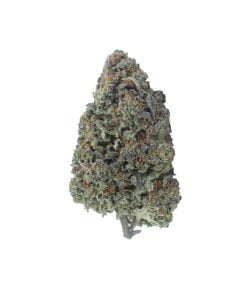 buy kush cookies online