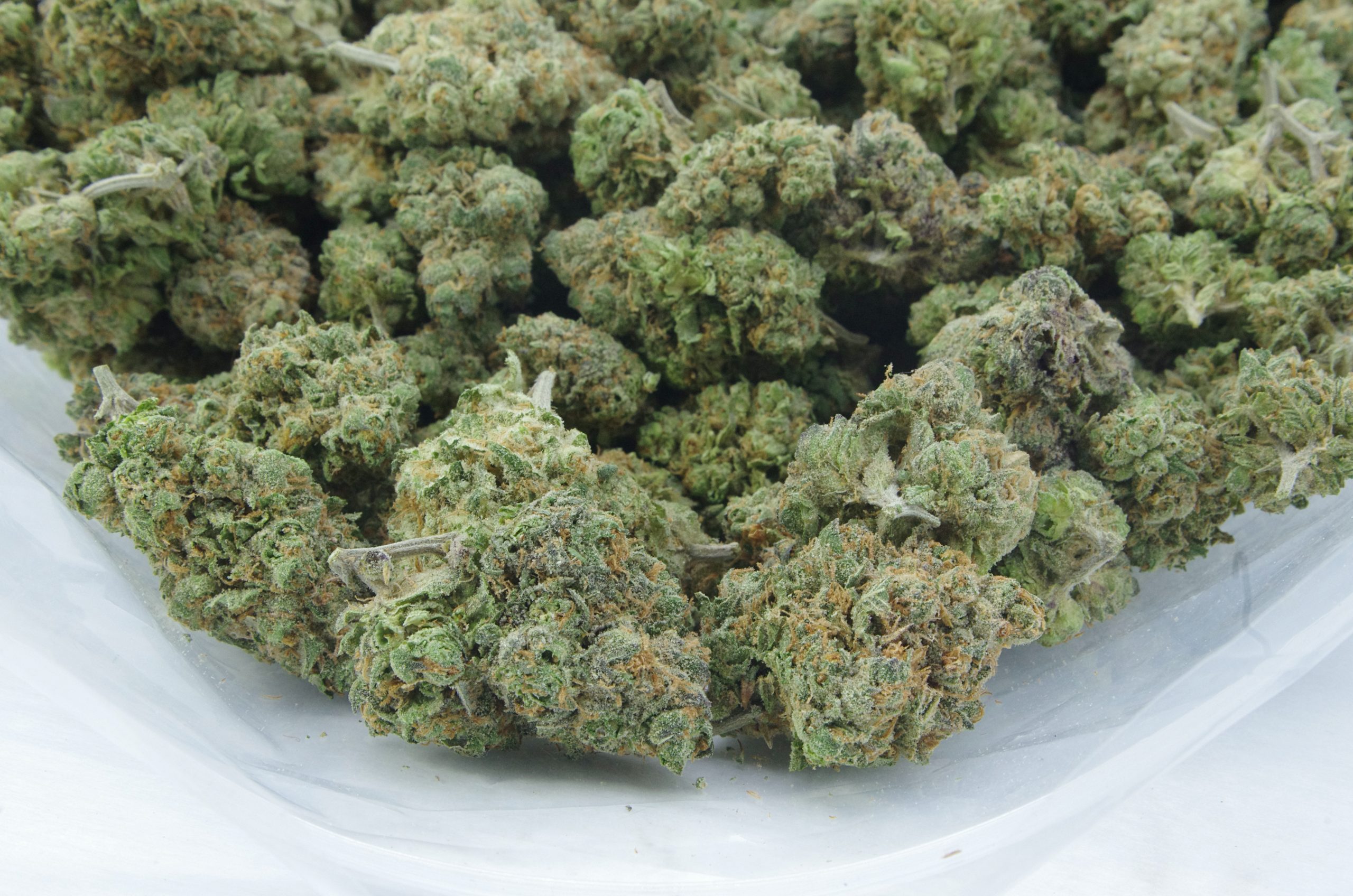 grape pie bag scaled Grape Pie Oz Special