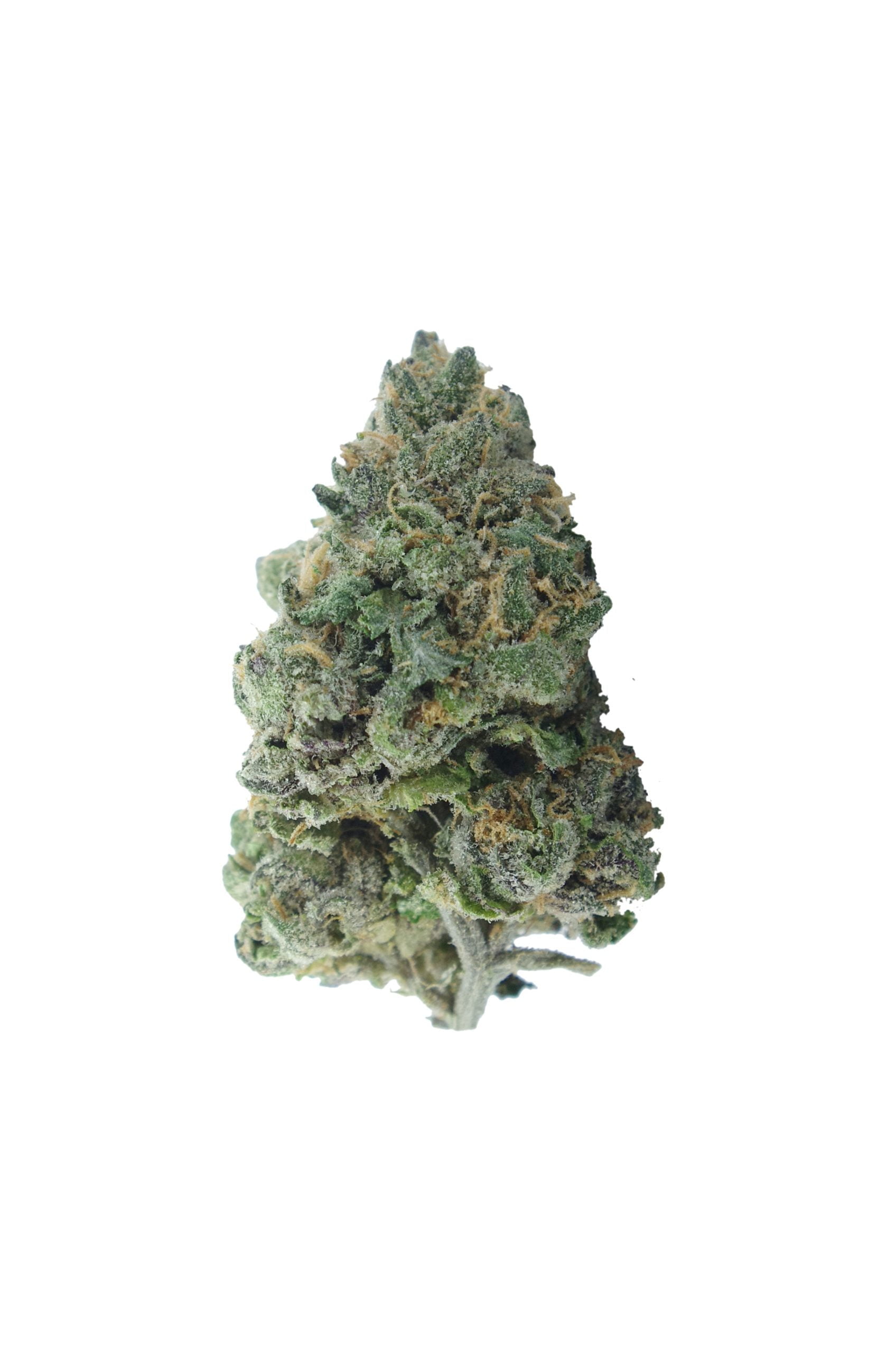 grape pie bud scaled Grape Pie Oz Special