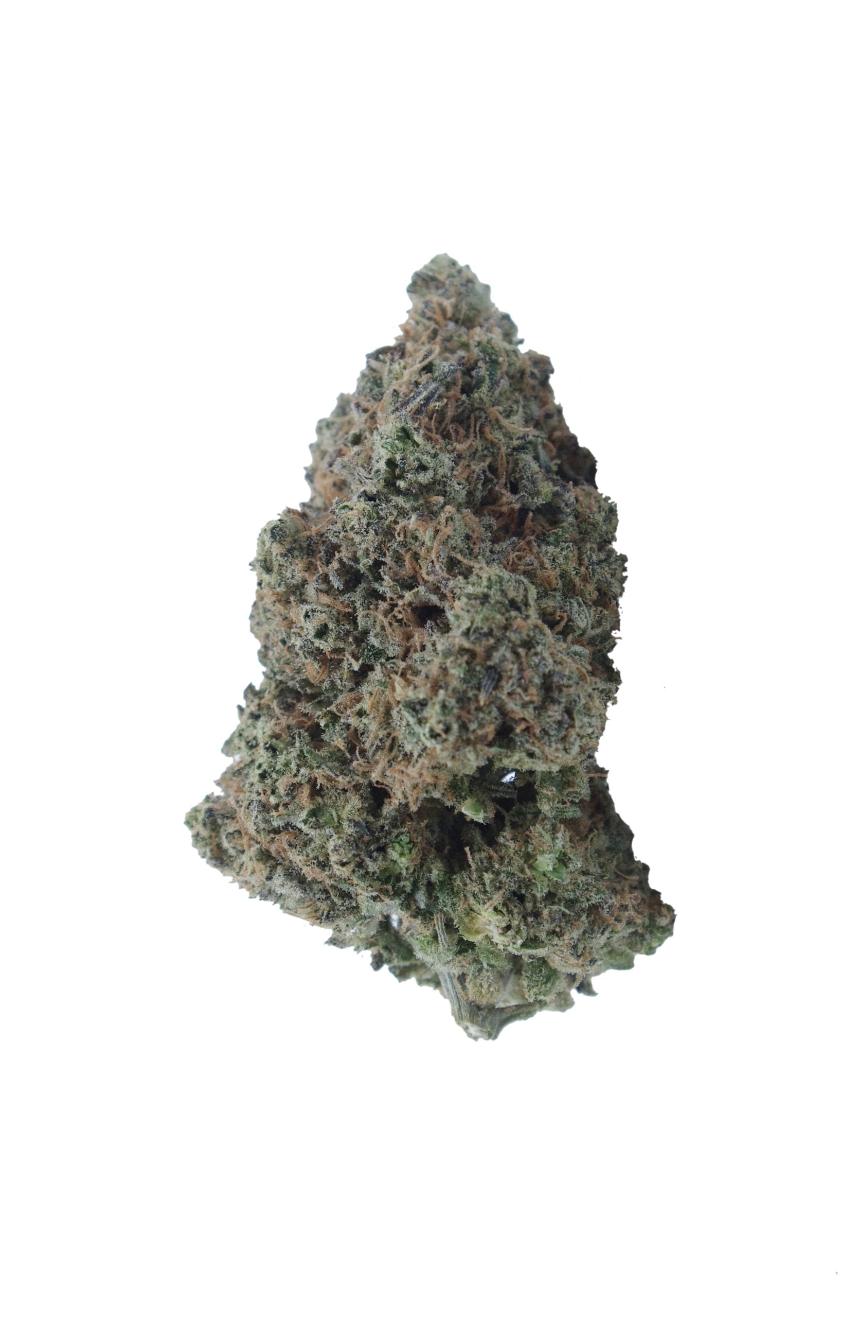 grapefruit diesel bud scaled Grapefruit Diesel Oz Special