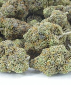 larry bird breath bag