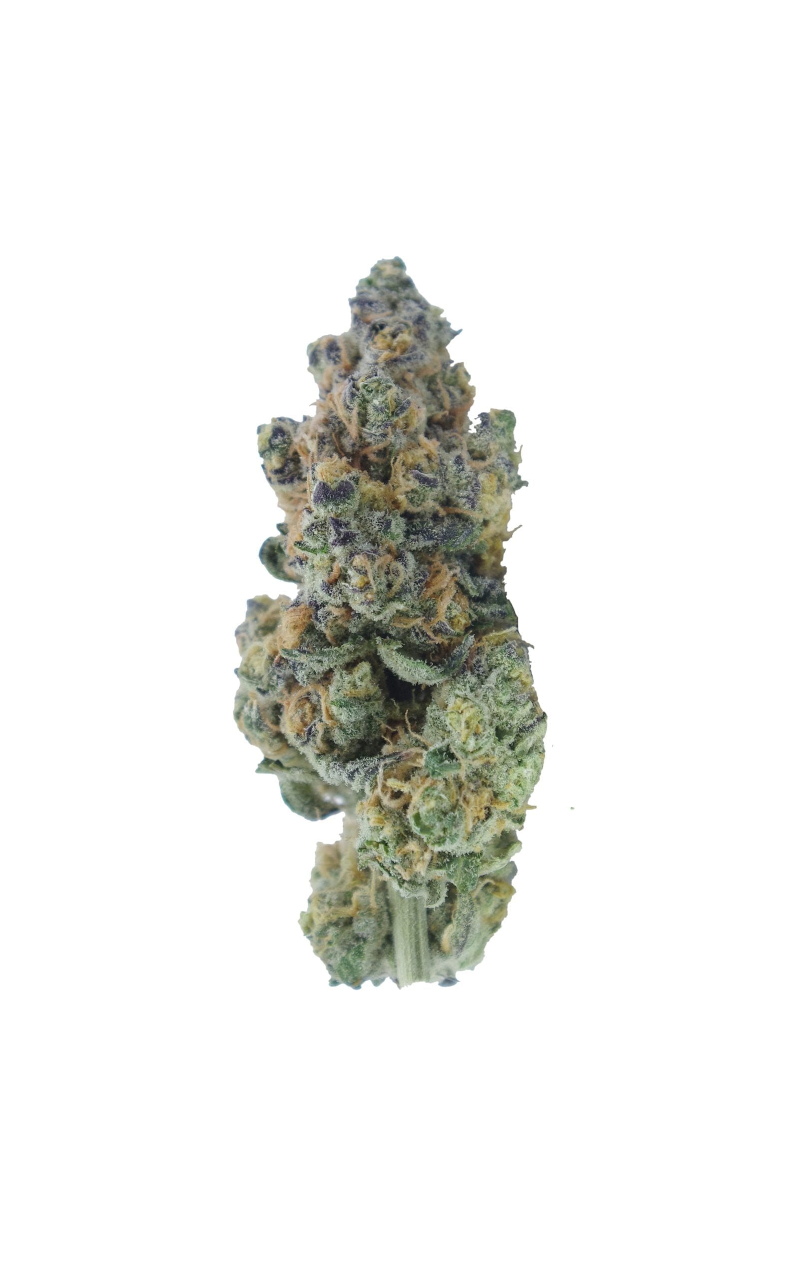 purple unicorn bud scaled Purple Unicorn Oz Special