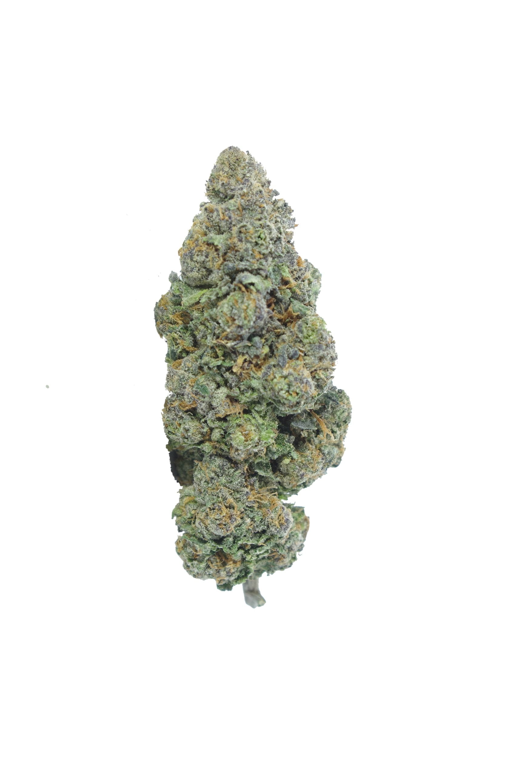 romberry bud scaled Romberry (Oz Special)